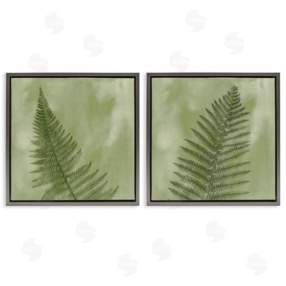 Ziwei Li Fern Sprouts Forest Nature Leaves Gray Floating Frame Canvas Wall Art Print