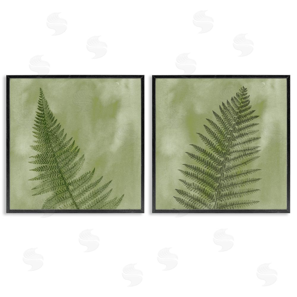 Ziwei Li Fern Sprouts Forest Nature Leaves Black Framed Giclee Wall Art Print