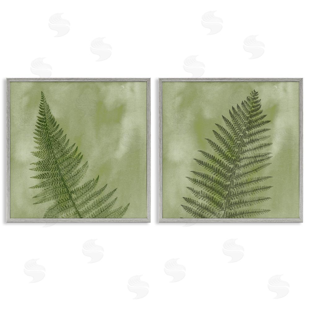 Ziwei Li Fern Sprouts Forest Nature Leaves Gray Framed Giclee Wall Art Print