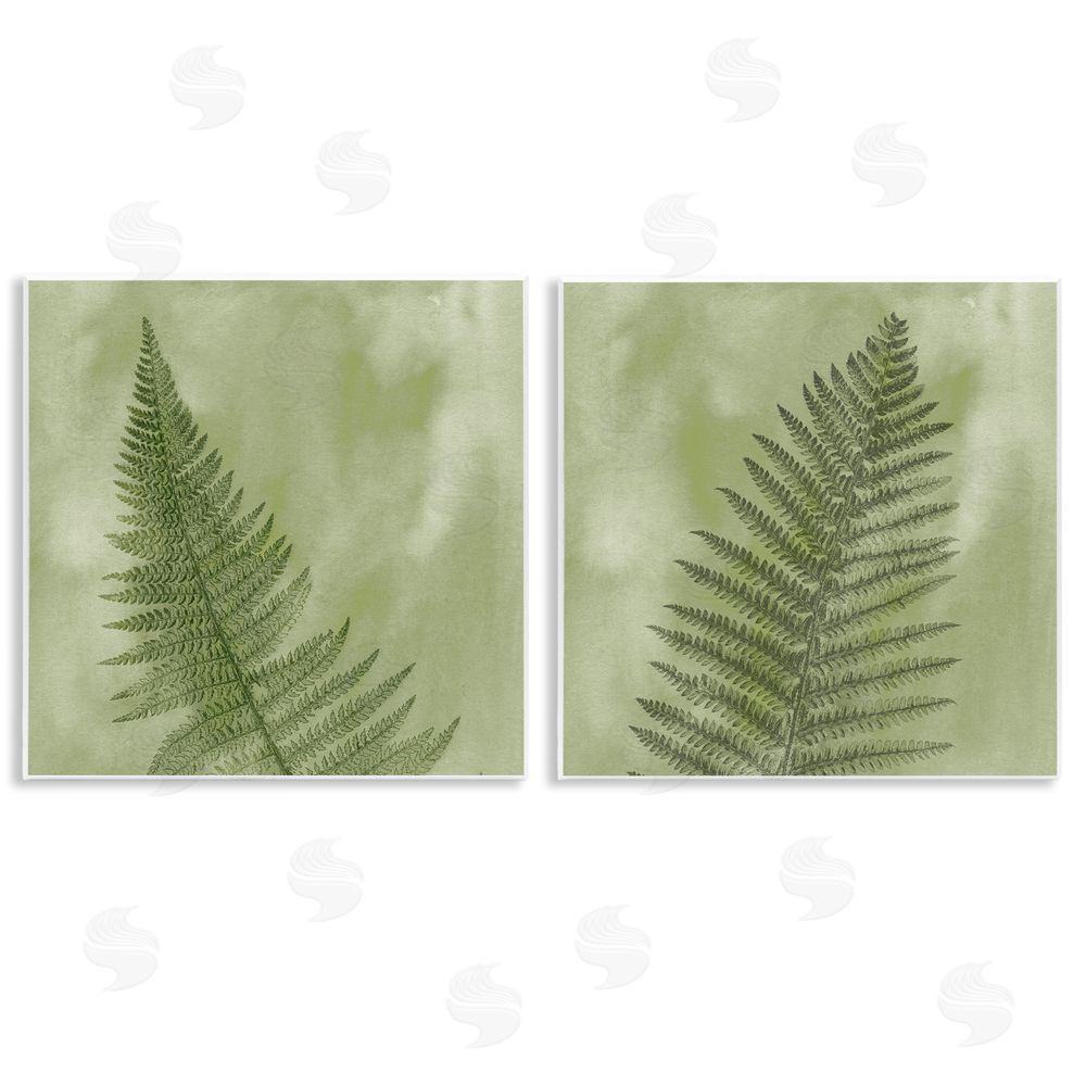 Ziwei Li Fern Sprouts Forest Nature Leaves Wooden Wall Plaque Art Print
