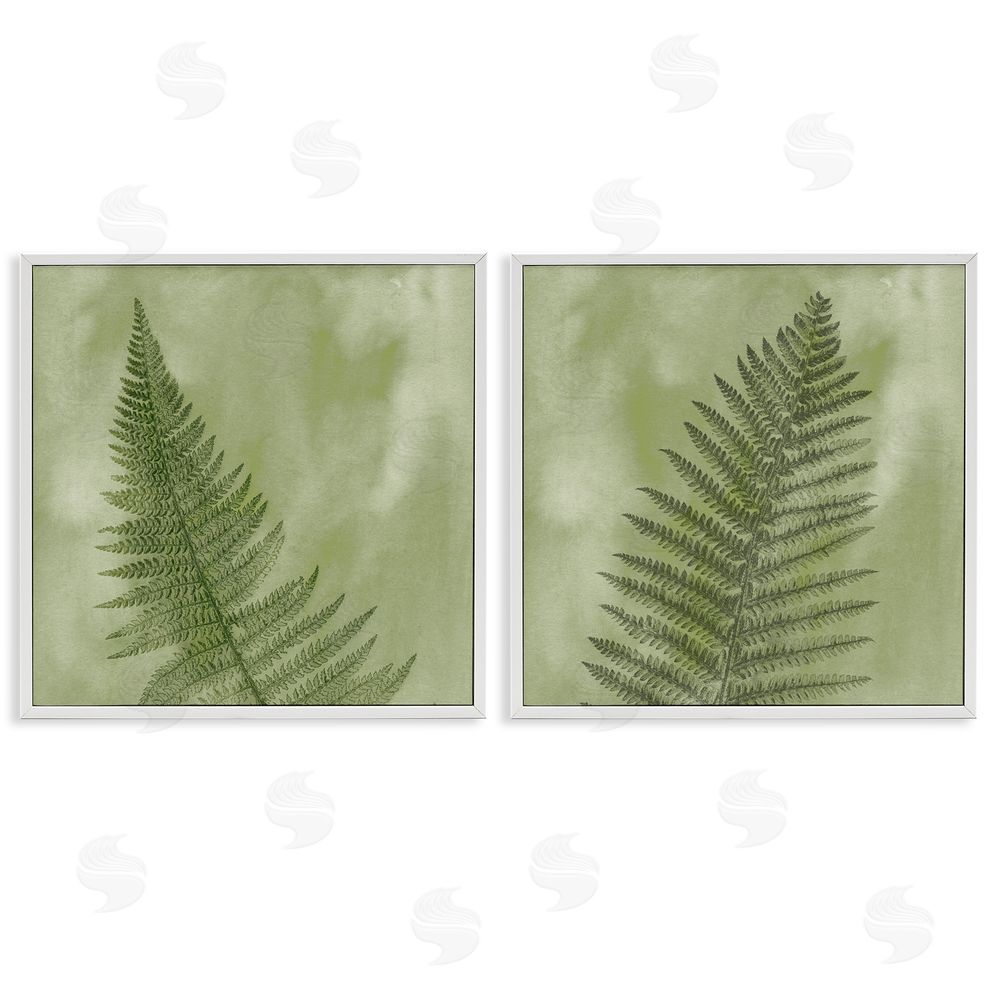 Ziwei Li Fern Sprouts Forest Nature Leaves White Framed Giclee Wall Art Print