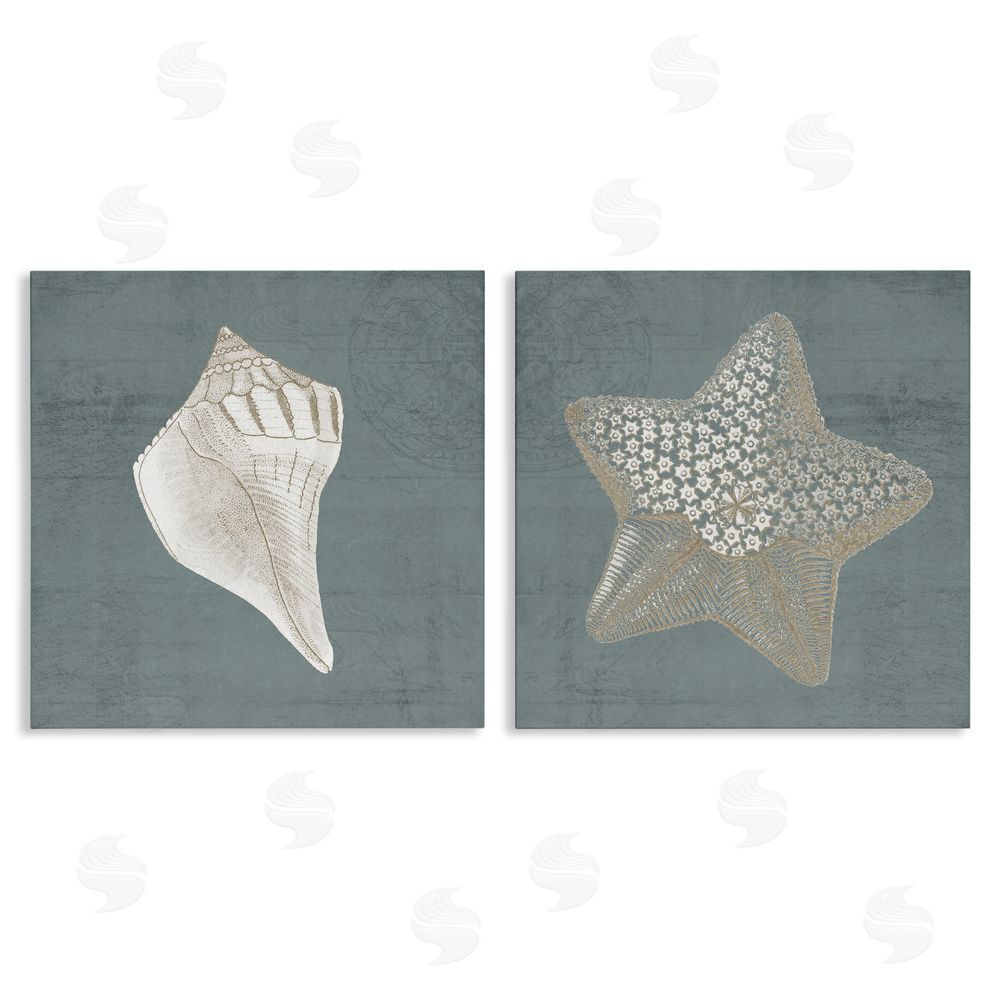 Piddix Sea Life Conch Starfish Nautical Canvas Wall Art Print
