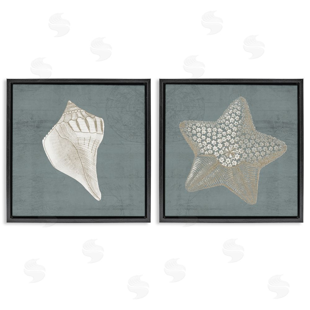 Piddix Sea Life Conch Starfish Nautical Black Floating Frame Canvas Wall Art Print