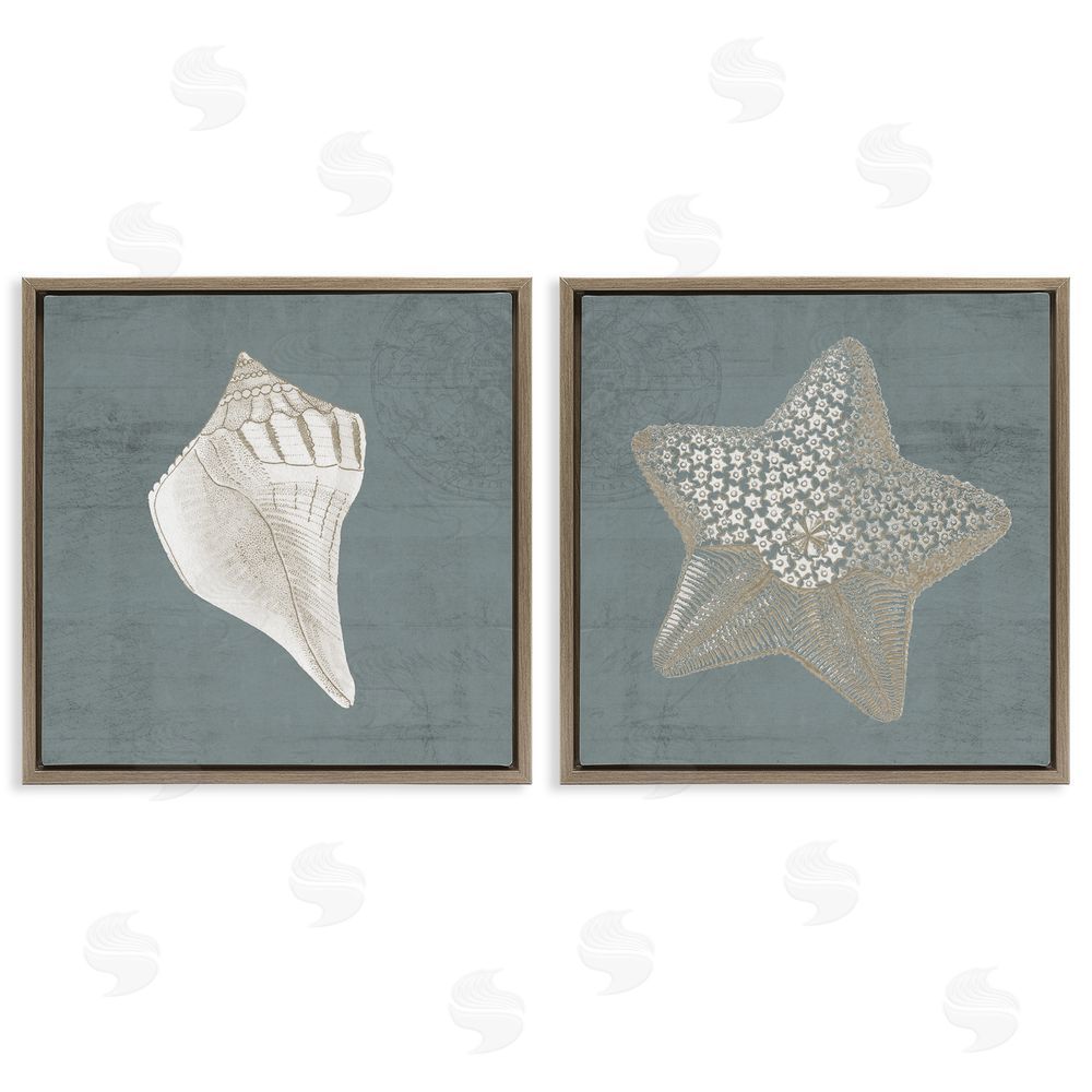 Piddix Sea Life Conch Starfish Nautical Brown Floating Frame Canvas Wall Art Print