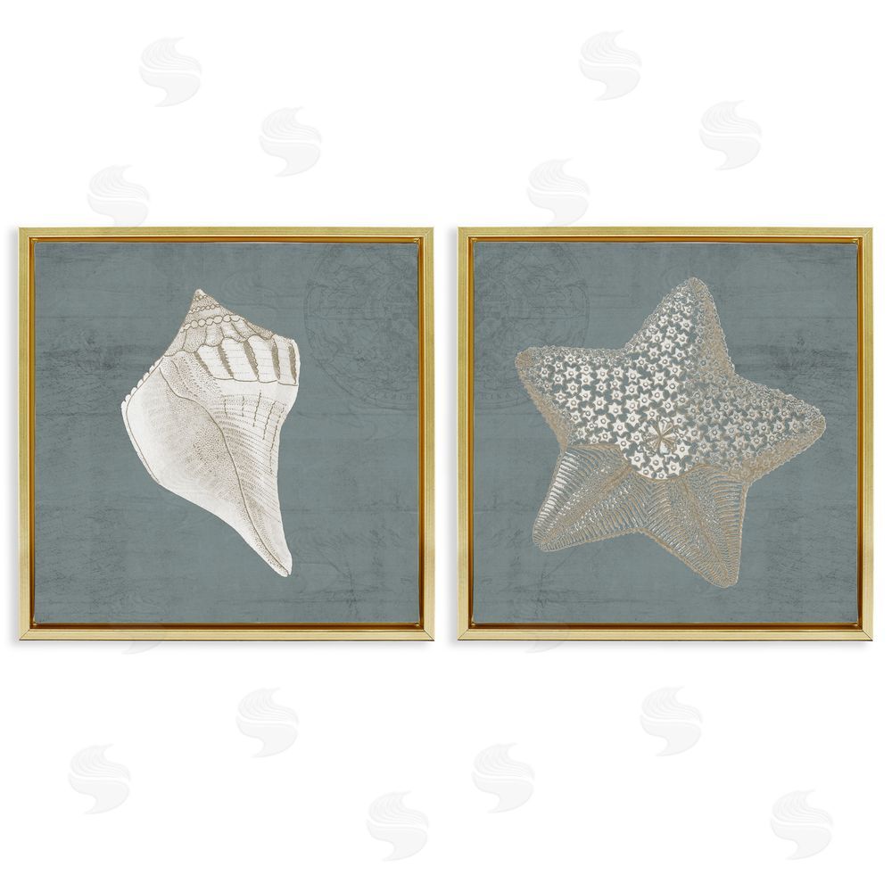 Piddix Sea Life Conch Starfish Nautical Gold Floating Frame Canvas Wall Art Print
