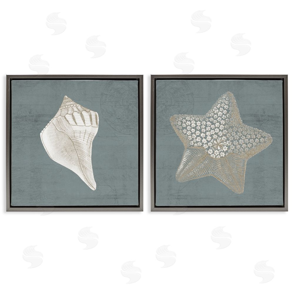 Piddix Sea Life Conch Starfish Nautical Gray Floating Frame Canvas Wall Art Print