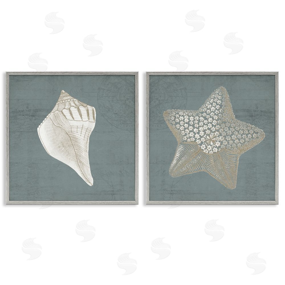 Piddix Sea Life Conch Starfish Nautical Gray Framed Giclee Wall Art Print