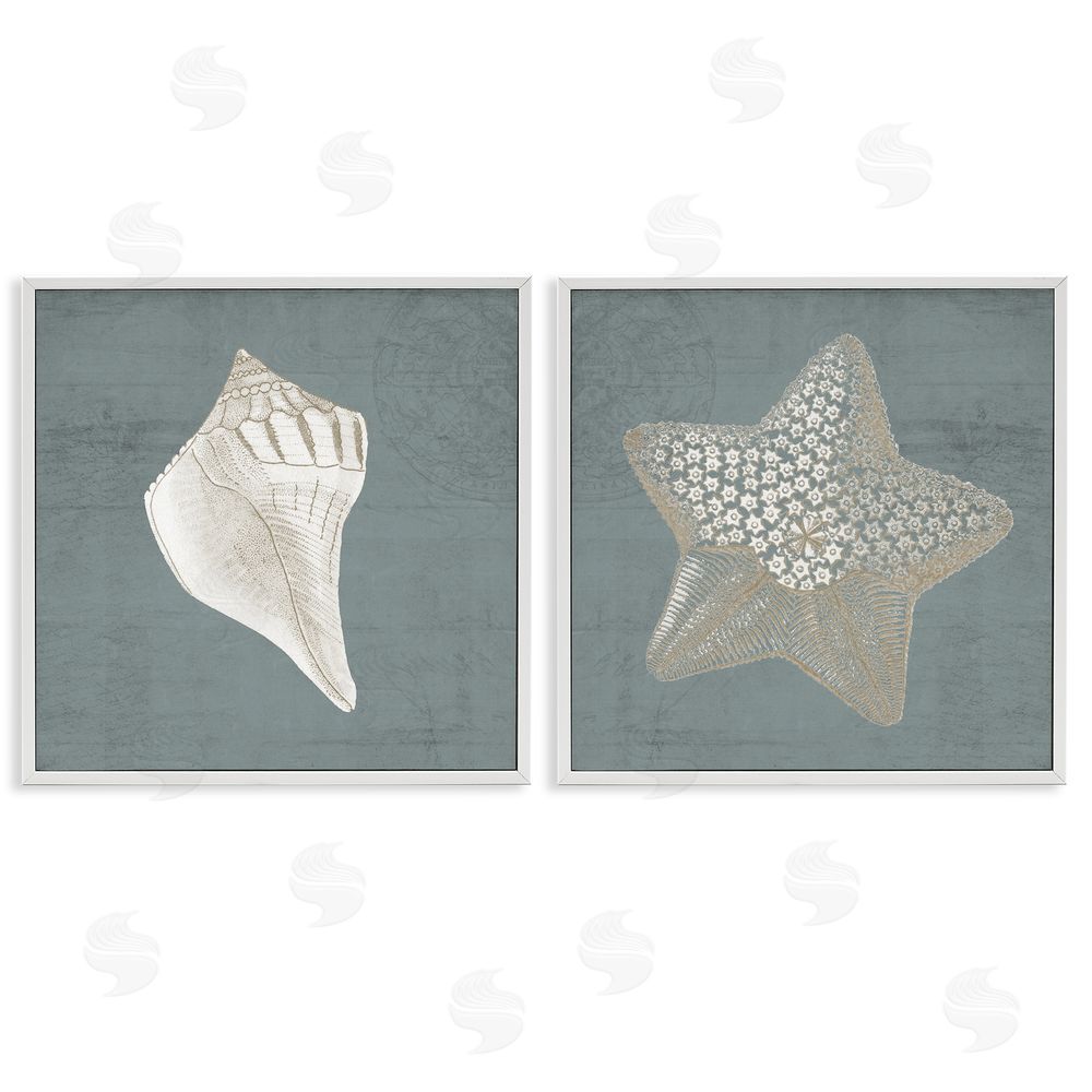 Piddix Sea Life Conch Starfish Nautical White Framed Giclee Wall Art Print