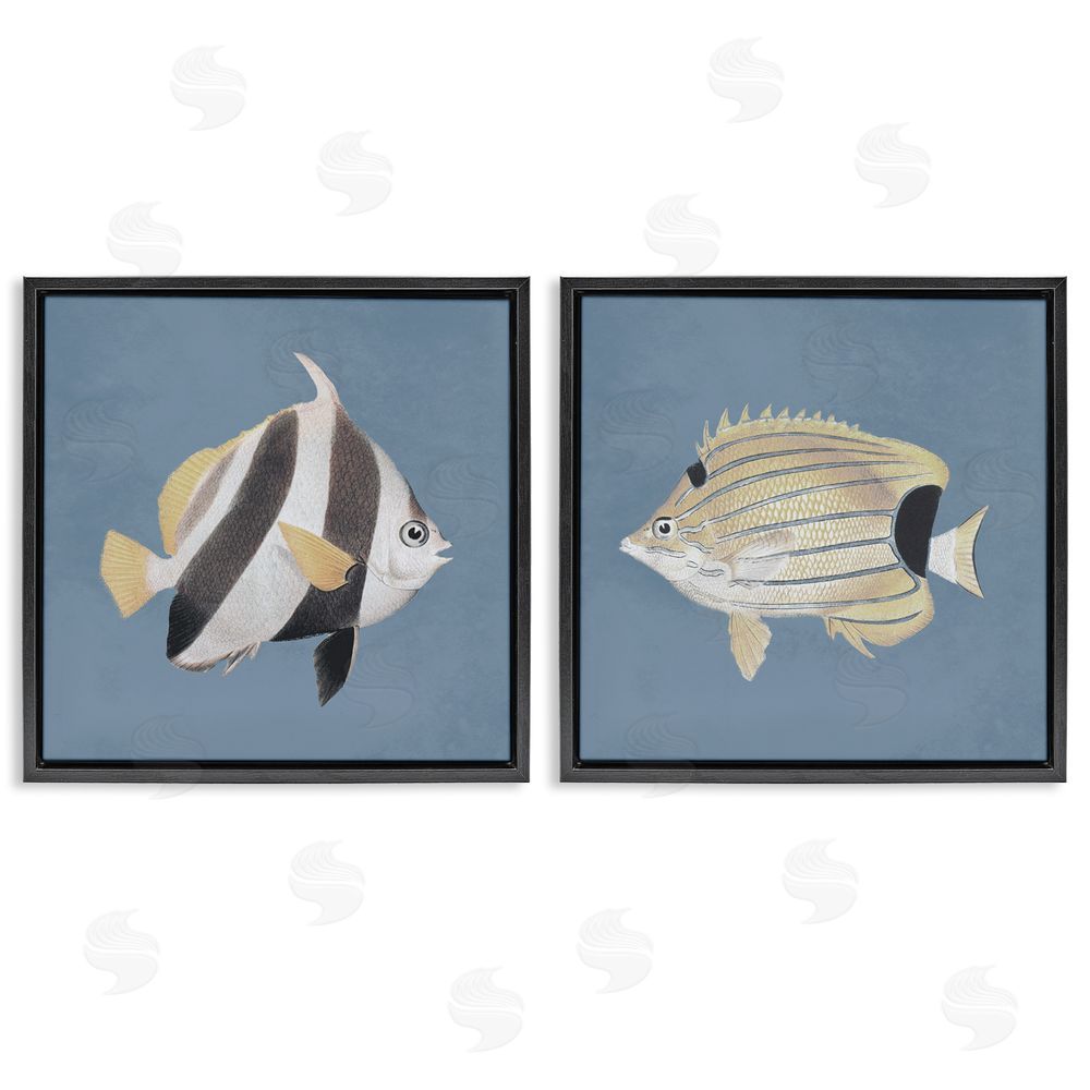 Piddix Marine Fish Underwater Sea Life Black Floating Frame Canvas Wall Art Print