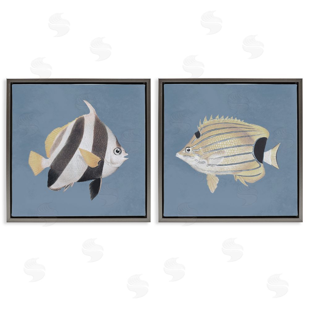 Piddix Marine Fish Underwater Sea Life Gray Floating Frame Canvas Wall Art Print