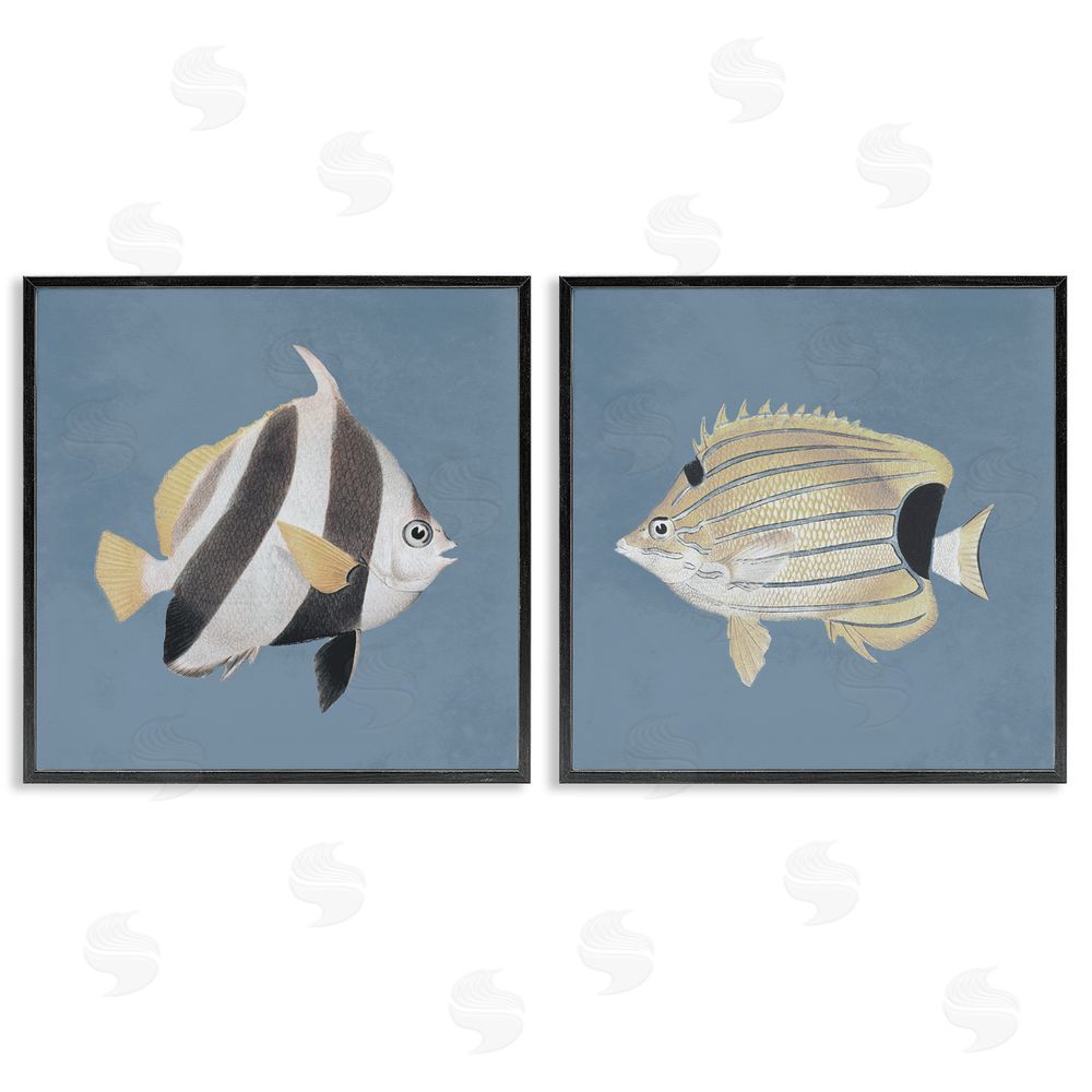 Piddix Marine Fish Underwater Sea Life Black Framed Giclee Wall Art Print