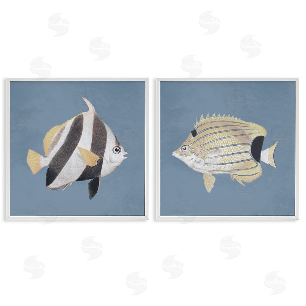 Piddix Marine Fish Underwater Sea Life White Framed Giclee Wall Art Print