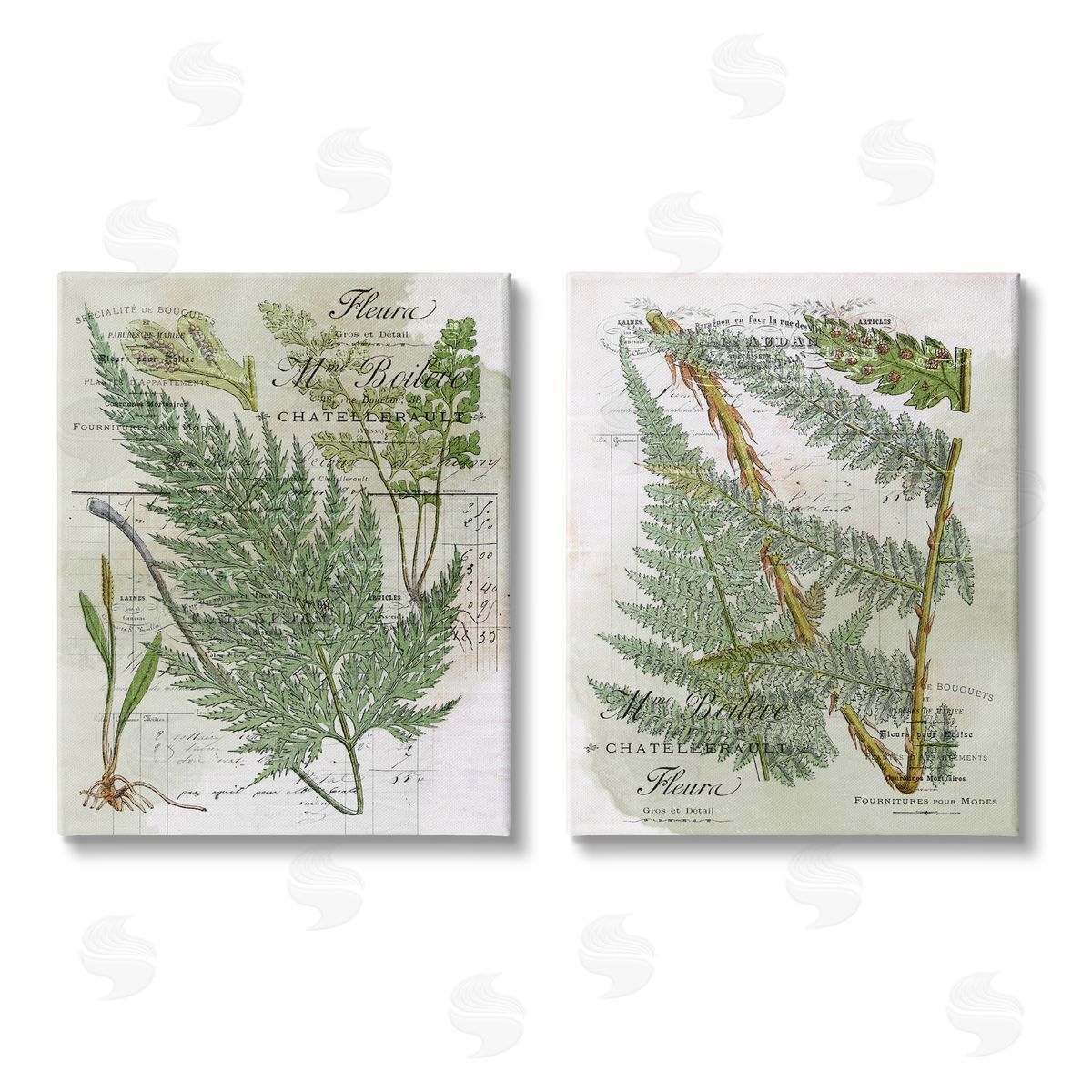 Stupell Studio Woodland Fern Botanical Latin Study Canvas Wall Art Print