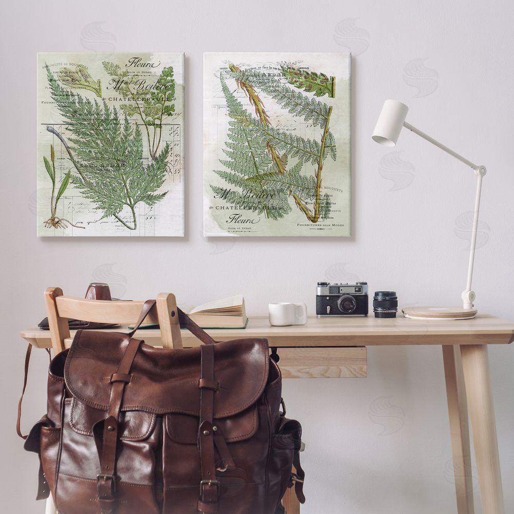 Stupell Studio Woodland Fern Botanical Latin Study Canvas Wall Art Print in Room