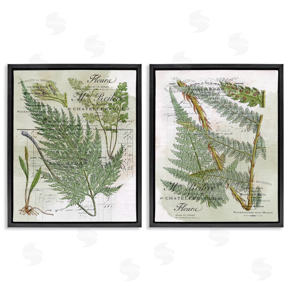 Stupell Studio Woodland Fern Botanical Latin Study Black Floating Frame Canvas Wall Art Print