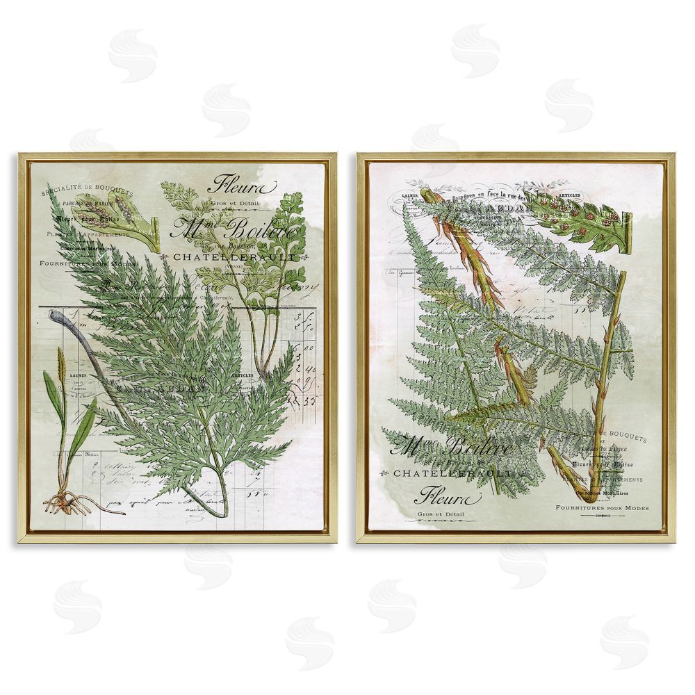 Stupell Studio Woodland Fern Botanical Latin Study Gold Floating Frame Canvas Wall Art Print