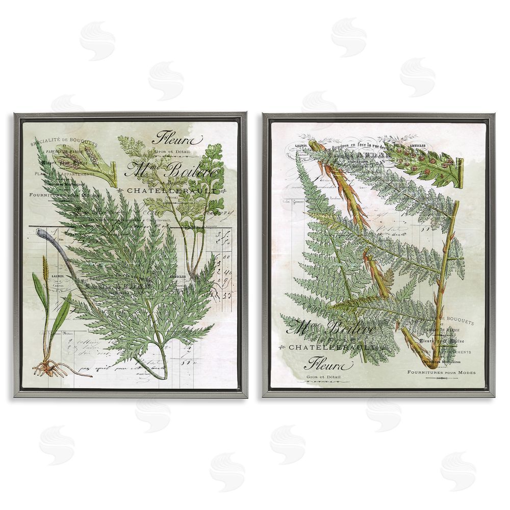 Stupell Studio Woodland Fern Botanical Latin Study Gray Floating Frame Canvas Wall Art Print