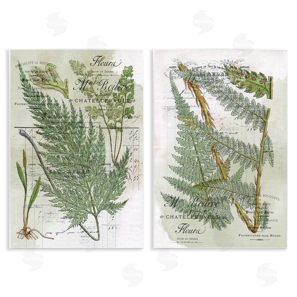 Stupell Studio Woodland Fern Botanical Latin Study Wooden Wall Plaque Art Print