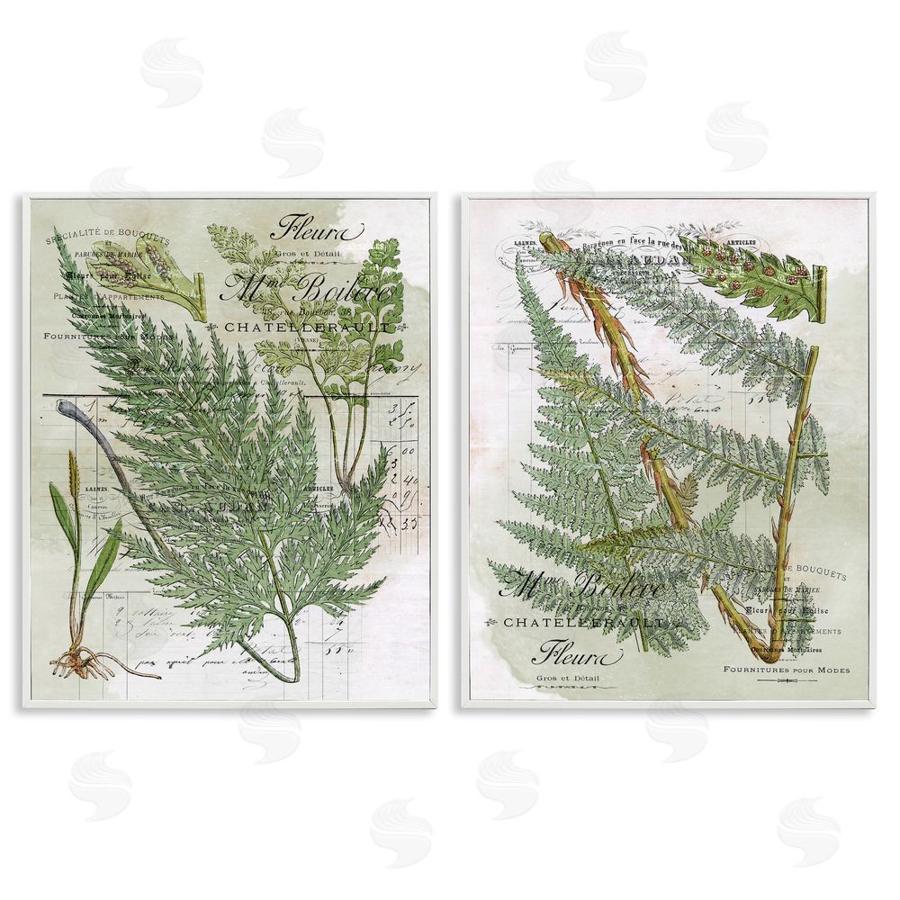 Stupell Studio Woodland Fern Botanical Latin Study White Framed Giclee Wall Art Print