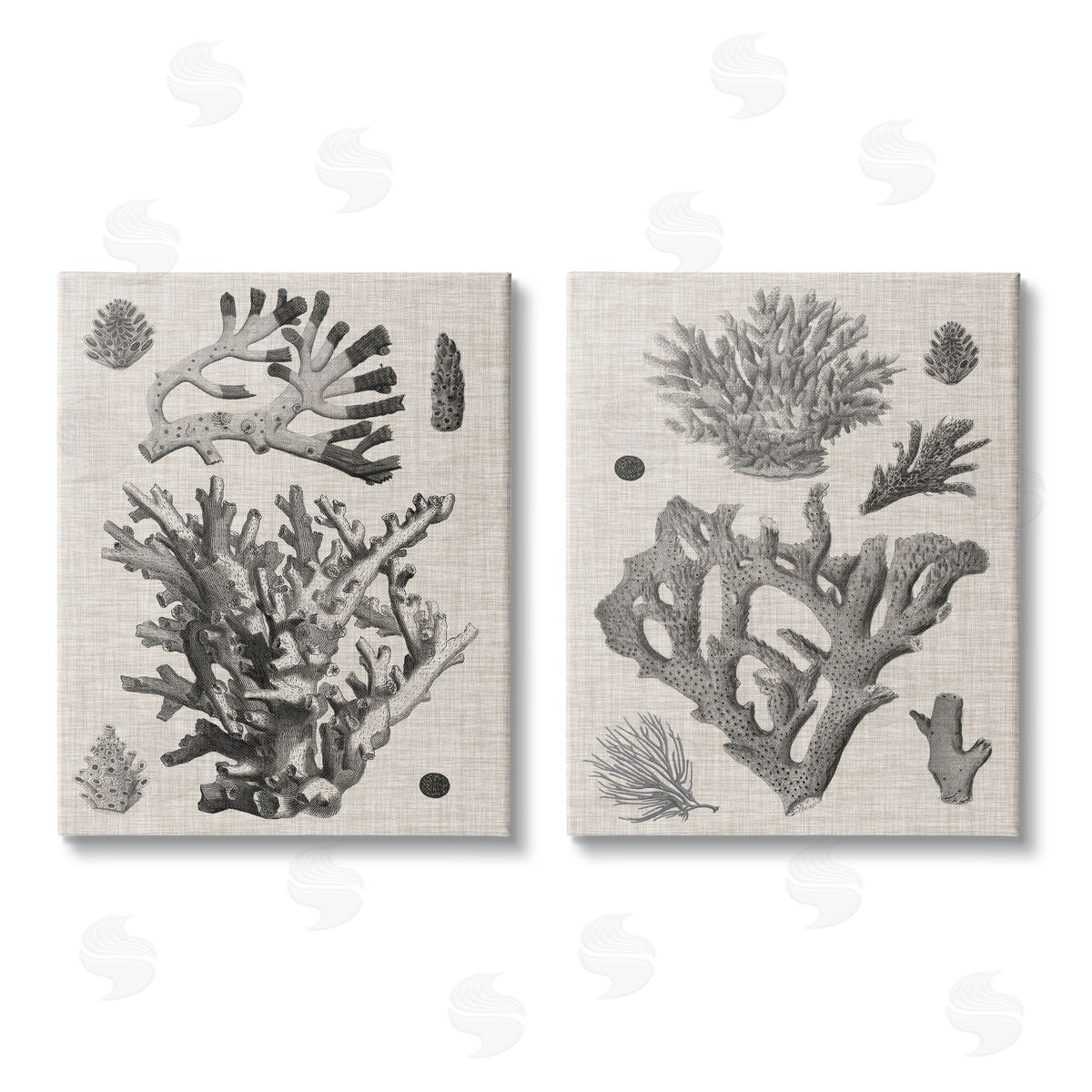 Vision Studio Vintage Coral Study Canvas Wall Art Print