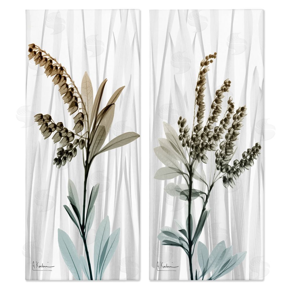 Albert Koetsier Modern Snowdrops Flowers Canvas Wall Art Print