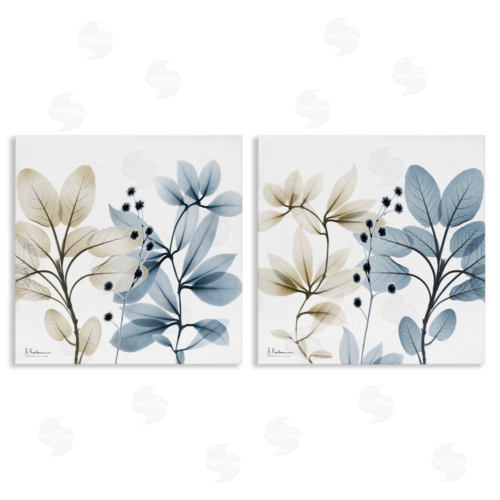 Albert Koetsier Contemporary Plant Sprigs Canvas Wall Art Print