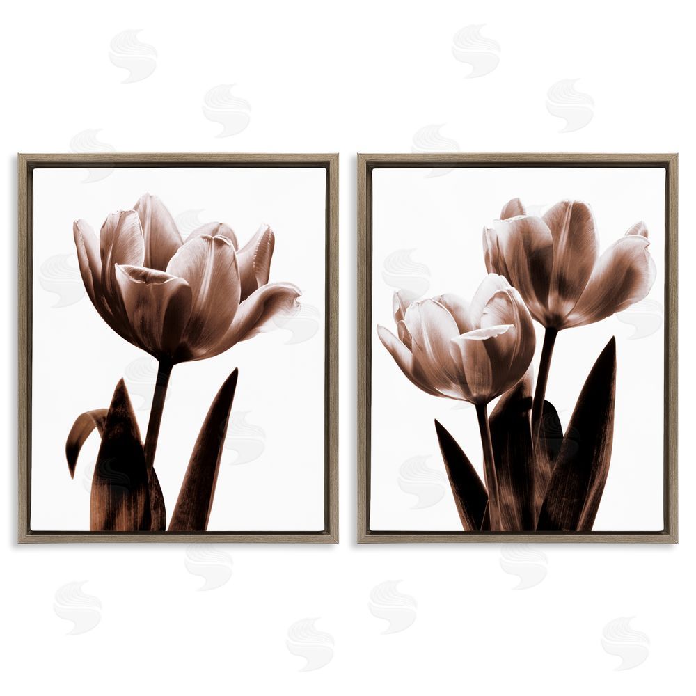 Caroline Kelly Modern Tulip Silhouettes Brown Floating Frame Canvas Wall Art Print