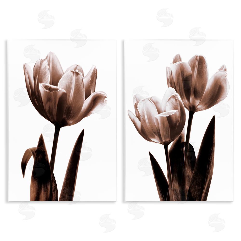 Caroline Kelly Modern Tulip Silhouettes Wooden Wall Plaque Art Print