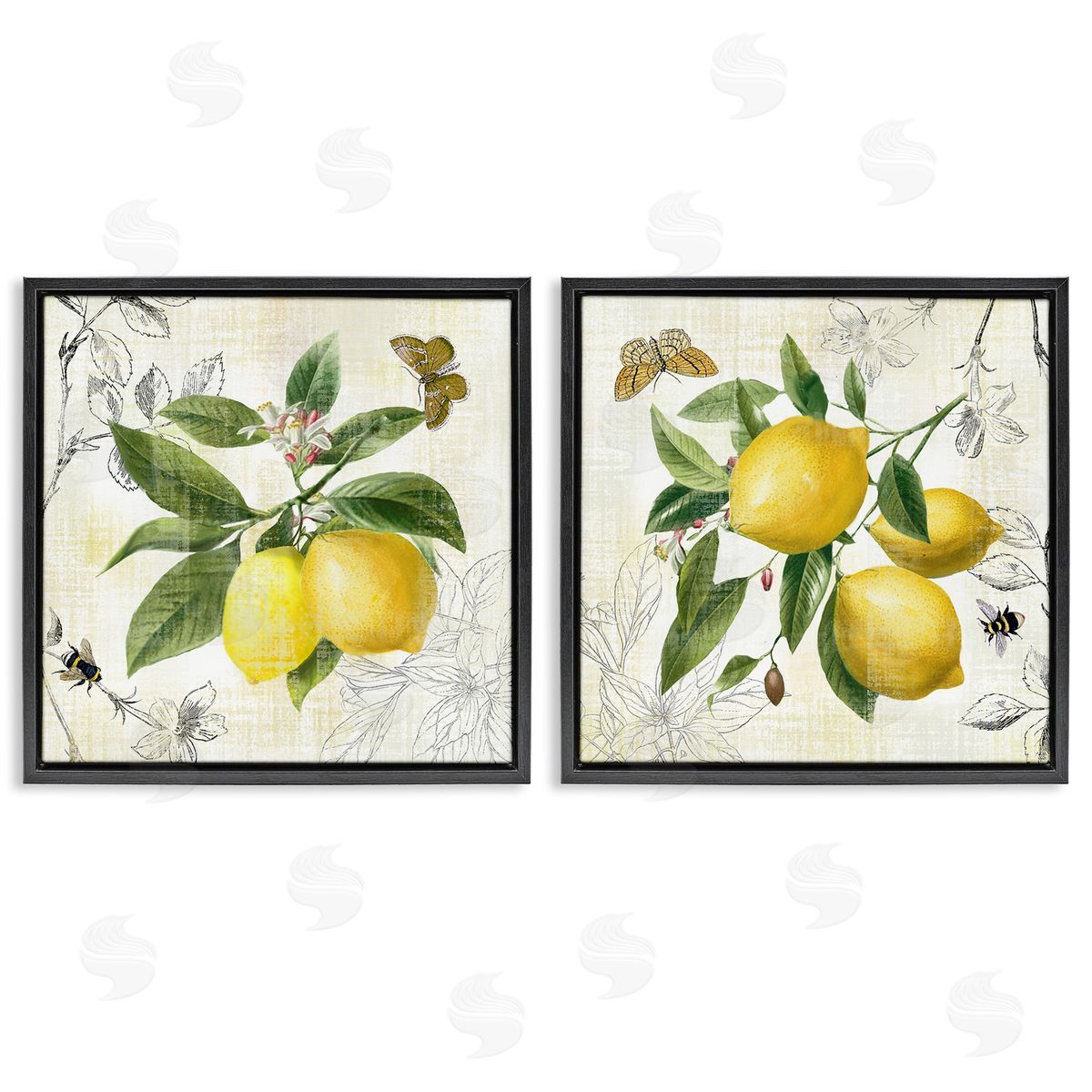 Nan Distressed Country Lemons Black Floating Frame Canvas Wall Art Print
