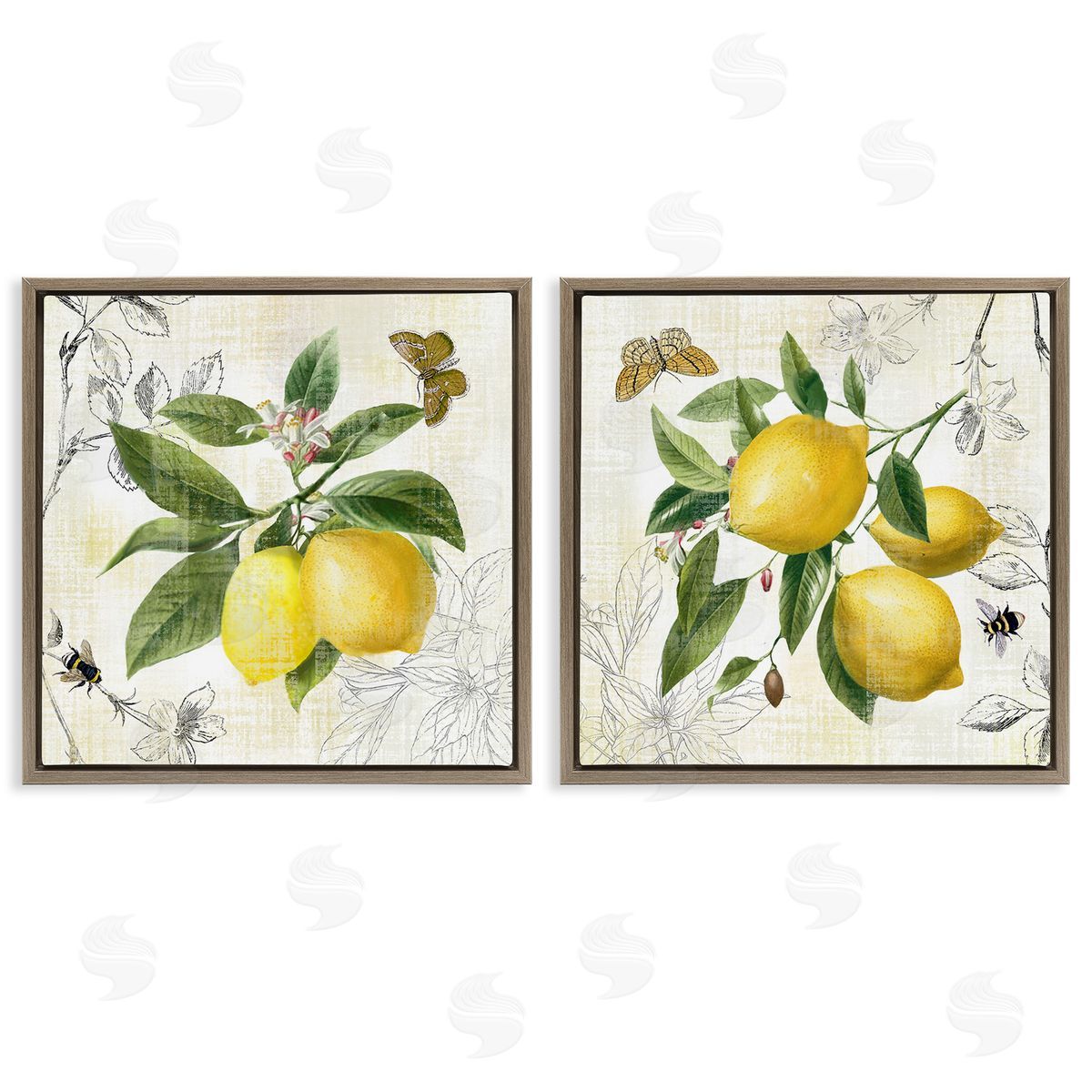 Nan Distressed Country Lemons Brown Floating Frame Canvas Wall Art Print