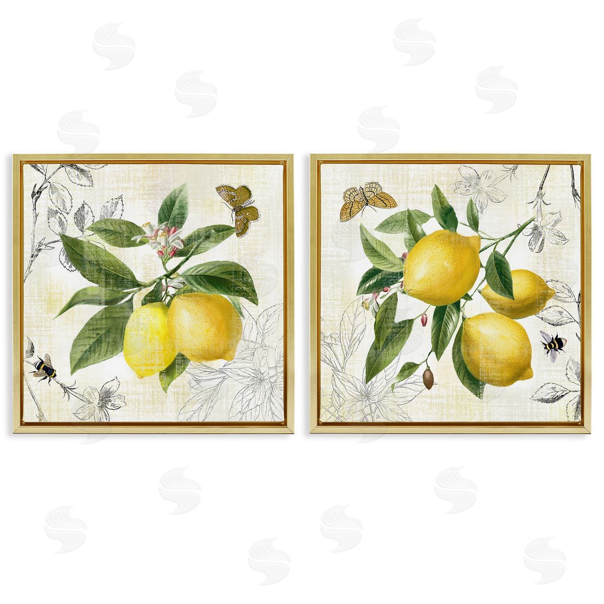 Nan Distressed Country Lemons Gold Floating Frame Canvas Wall Art Print