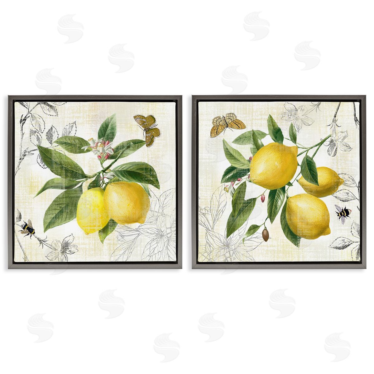Nan Distressed Country Lemons Gray Floating Frame Canvas Wall Art Print