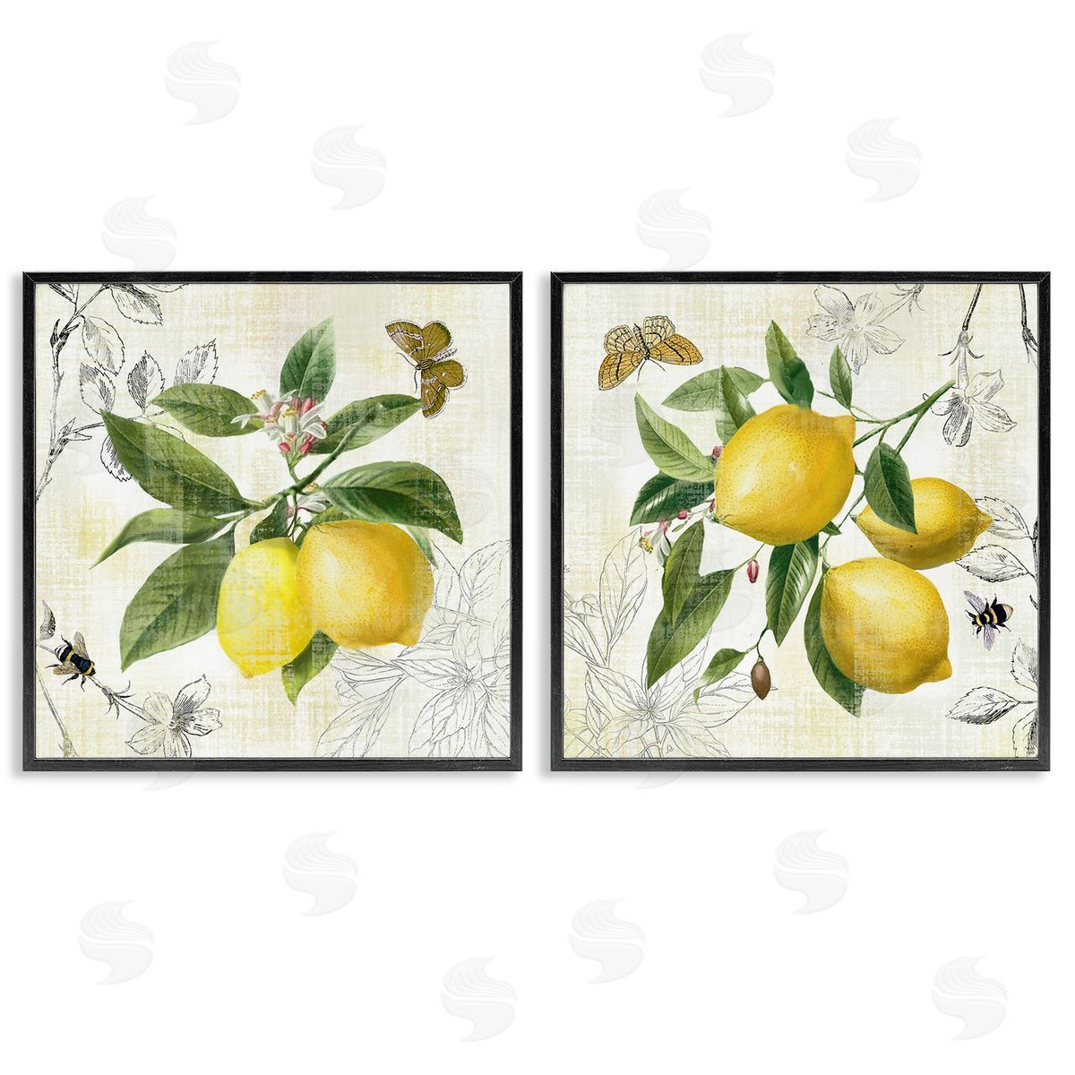 Nan Distressed Country Lemons Black Framed Giclee Wall Art Print