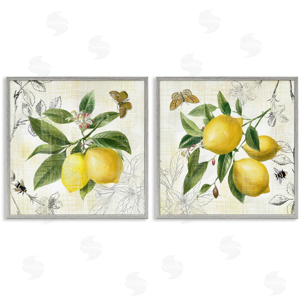 Nan Distressed Country Lemons Gray Framed Giclee Wall Art Print