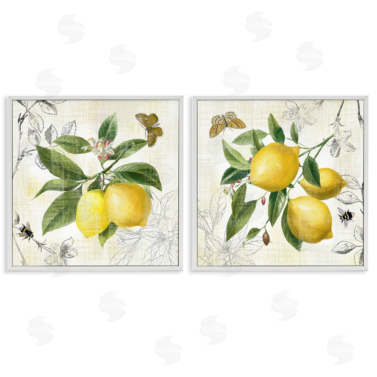 Nan Distressed Country Lemons White Framed Giclee Wall Art Print