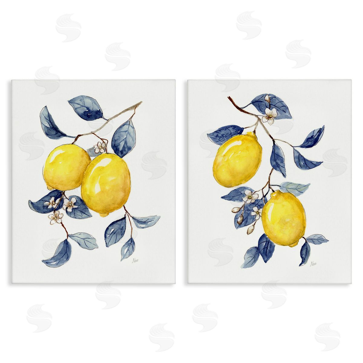 Nan Budding Lemon Blossoms Canvas Wall Art Print