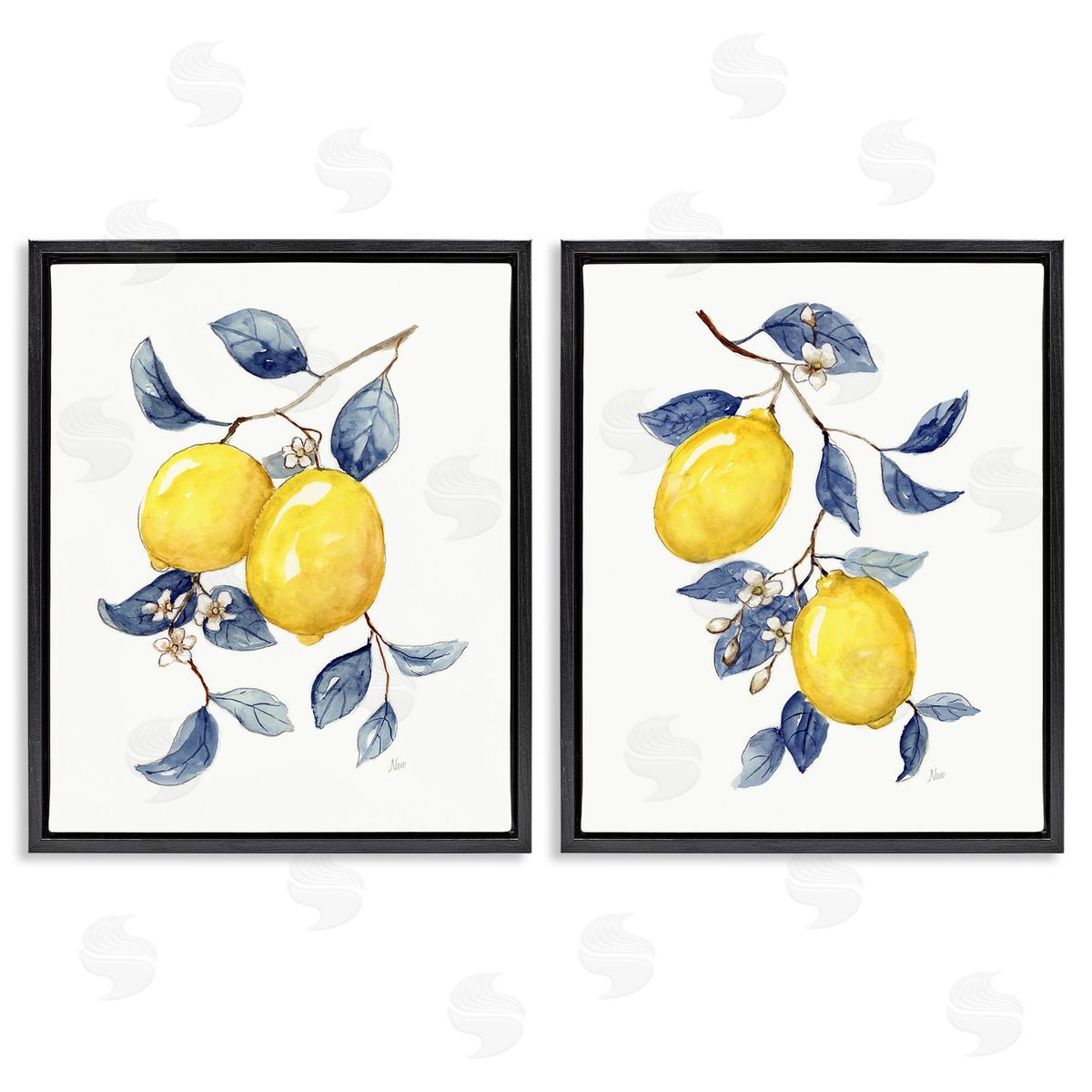 Nan Budding Lemon Blossoms Black Floating Frame Canvas Wall Art Print
