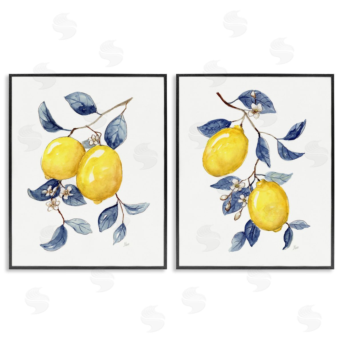 Nan Budding Lemon Blossoms Black Framed Giclee Wall Art Print
