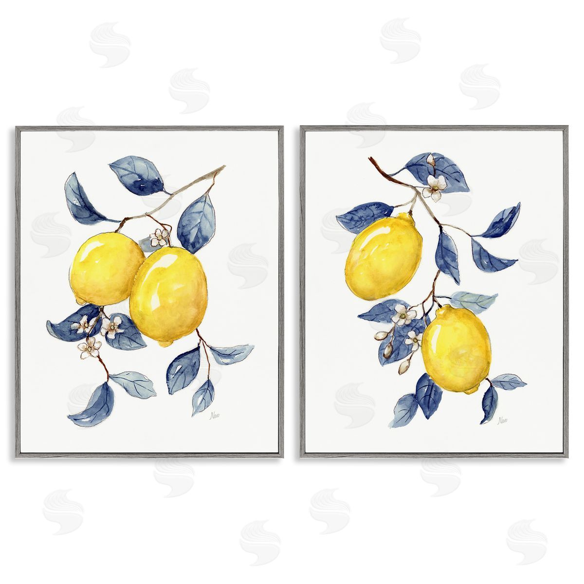 Nan Budding Lemon Blossoms Gray Framed Giclee Wall Art Print