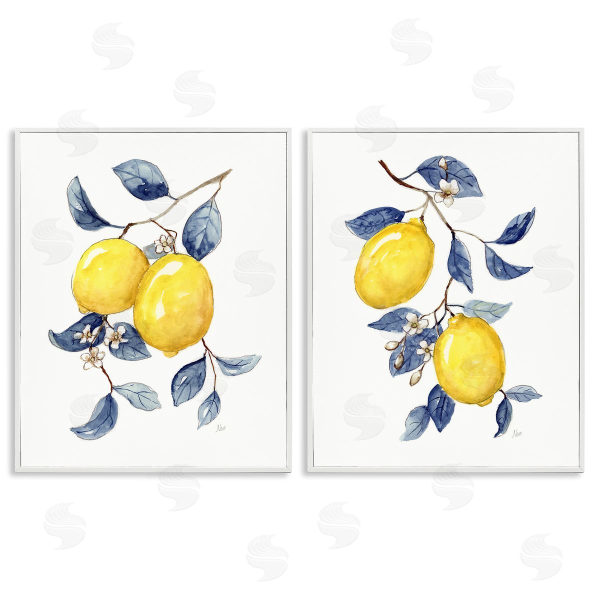 Nan Budding Lemon Blossoms White Framed Giclee Wall Art Print