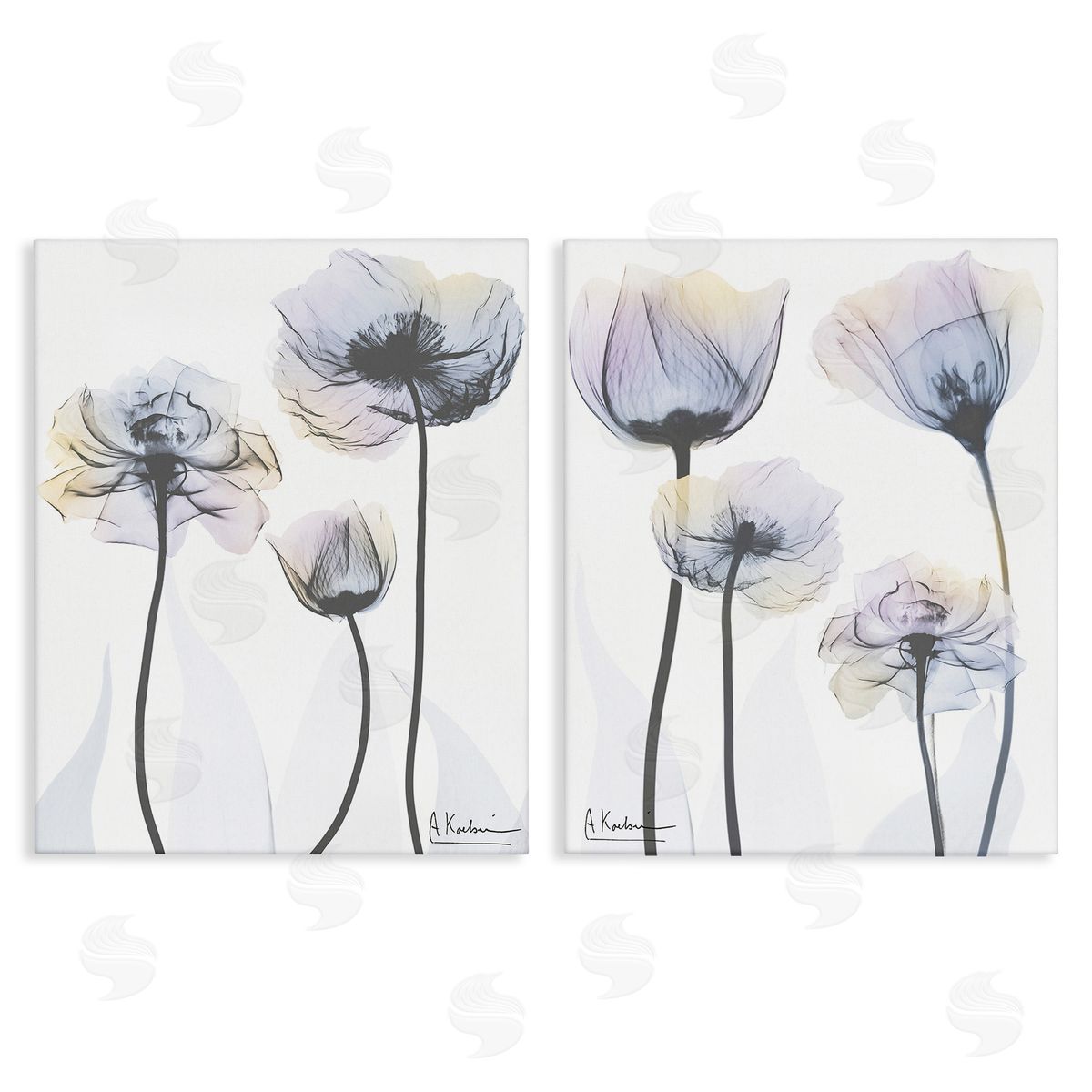 Albert Koetsier Modern X-Ray Blooms Canvas Wall Art Print