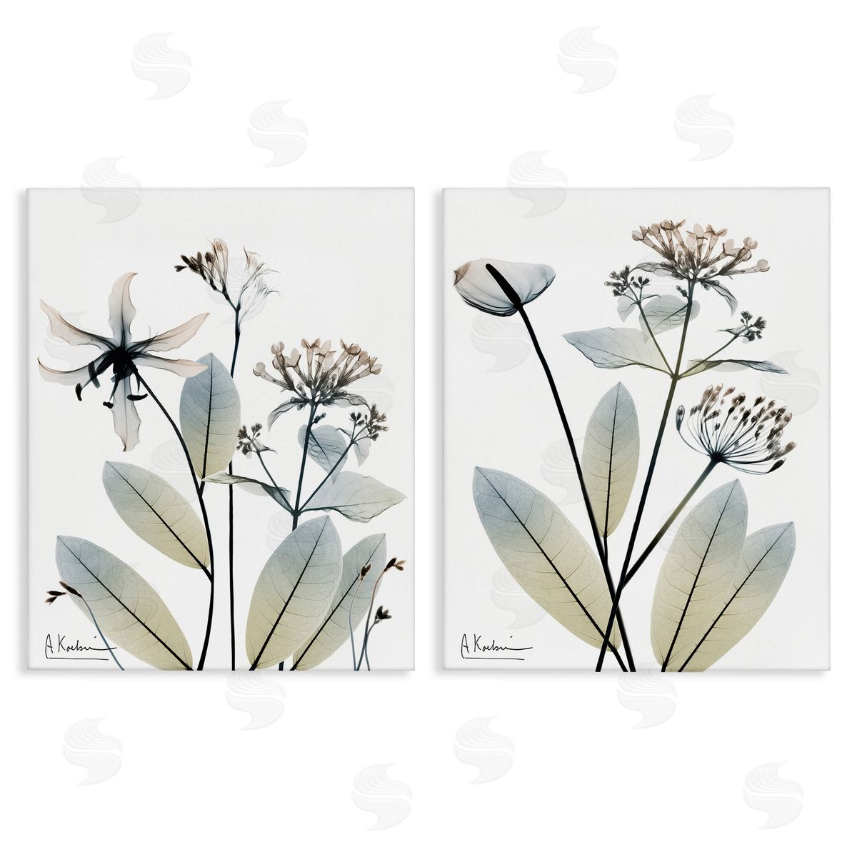 Albert Koetsier Modern Budding Blooms Canvas Wall Art Print