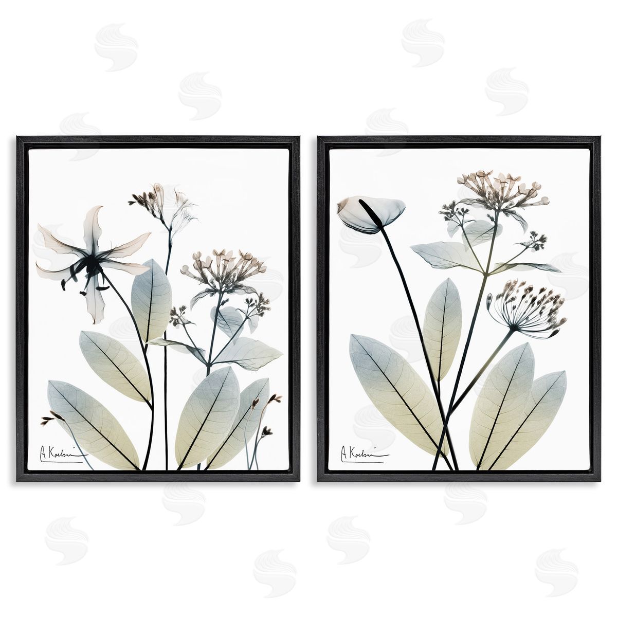 Albert Koetsier Modern Budding Blooms Black Floating Frame Canvas Wall Art Print