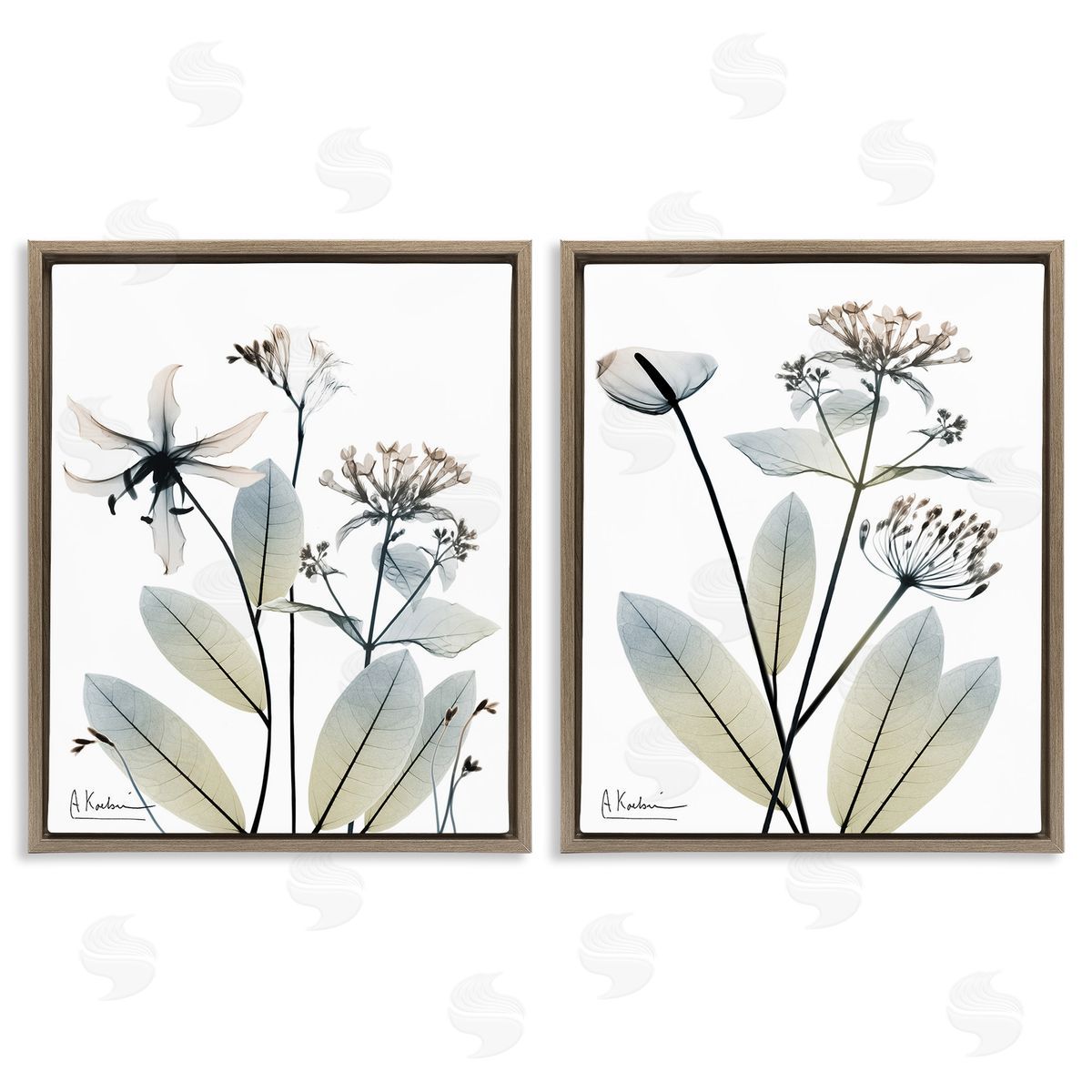 Albert Koetsier Modern Budding Blooms Brown Floating Frame Canvas Wall Art Print