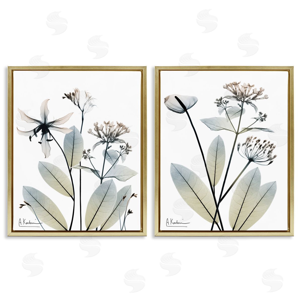 Albert Koetsier Modern Budding Blooms Gold Floating Frame Canvas Wall Art Print