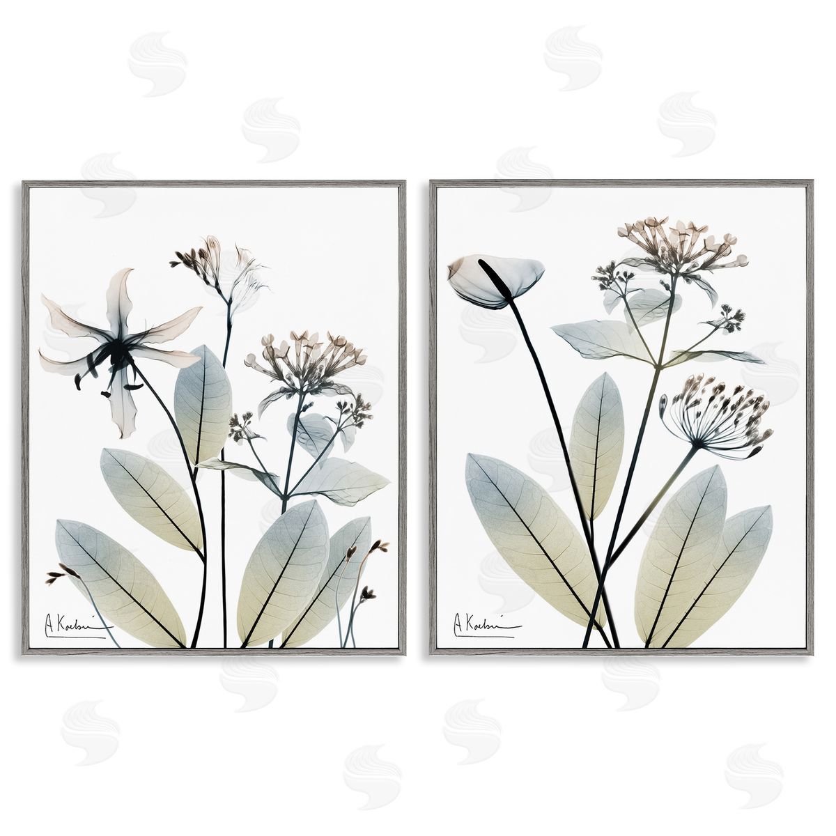 Albert Koetsier Modern Budding Blooms Gray Framed Giclee Wall Art Print