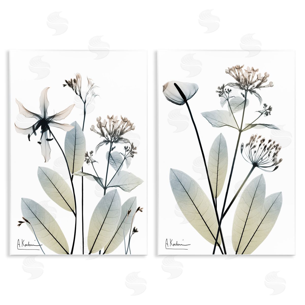 Albert Koetsier Modern Budding Blooms Wooden Wall Plaque Art Print