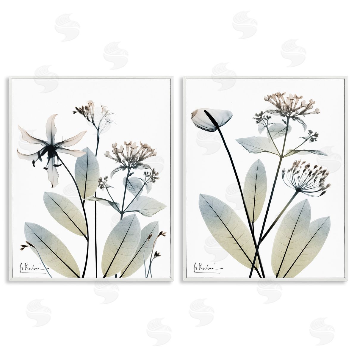 Albert Koetsier Modern Budding Blooms White Framed Giclee Wall Art Print