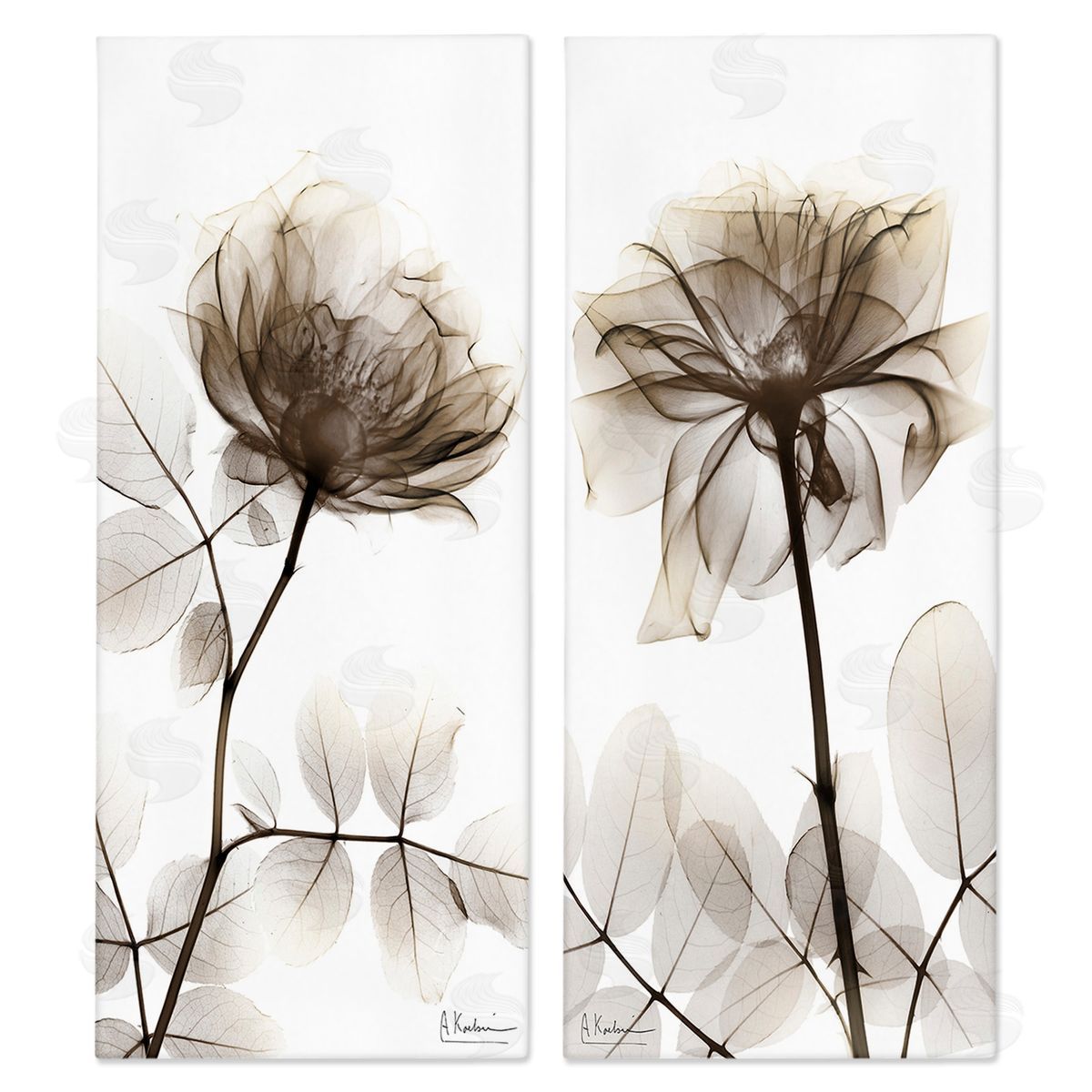 Albert Koetsier Natural Modern Blooms Canvas Wall Art Print