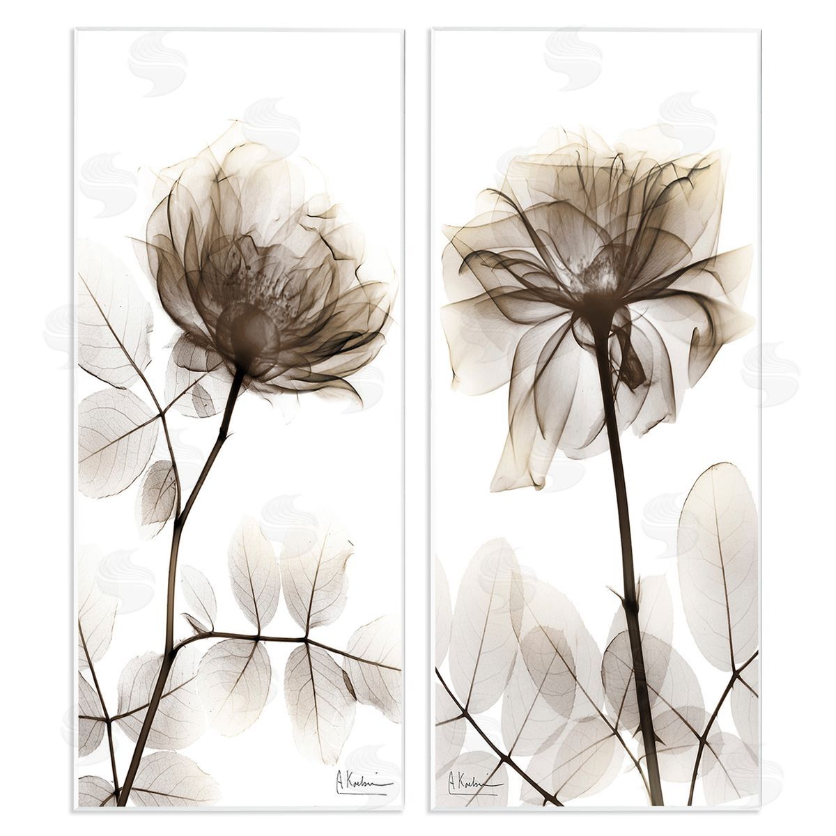 Albert Koetsier Natural Modern Blooms Wooden Wall Plaque Art Print